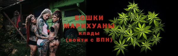 сатива Богородск
