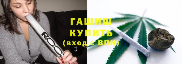 сатива Богородск