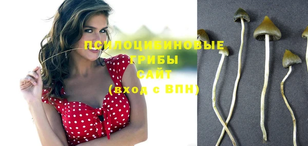 ешки Богородицк