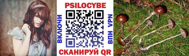 Купить где  Струнино  Галлюциногенные грибы Magic Shrooms 